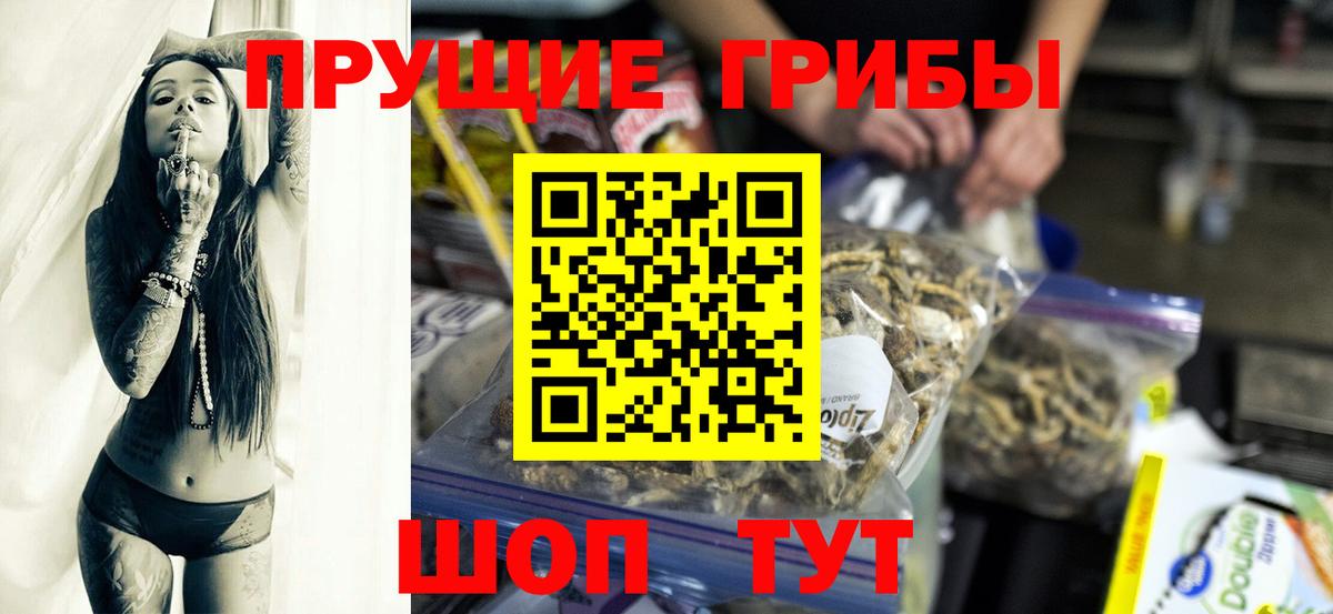 Галлюциногенные грибы GOLDEN TEACHER Отрадное
